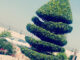 How to Promote Your Business in a Memorable Manner Promote Your Business