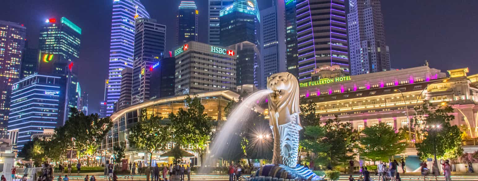 5 Things You Need to Know About Business Incorporation in Singapore