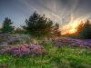 11 ways to promote your end-of-summer retail sale – Marketinic