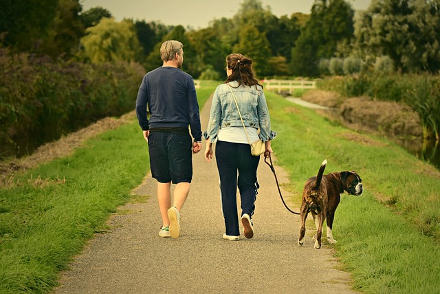 Top 7 Factors To Consider For The Best Dog Walking Leash